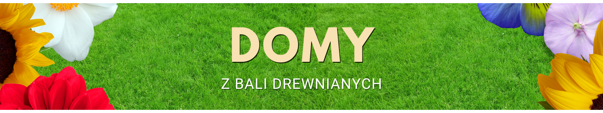 DOMY