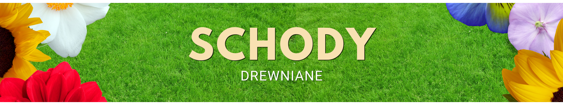 SCHODY