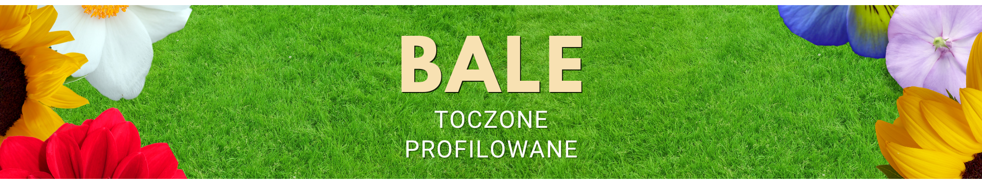 BALE