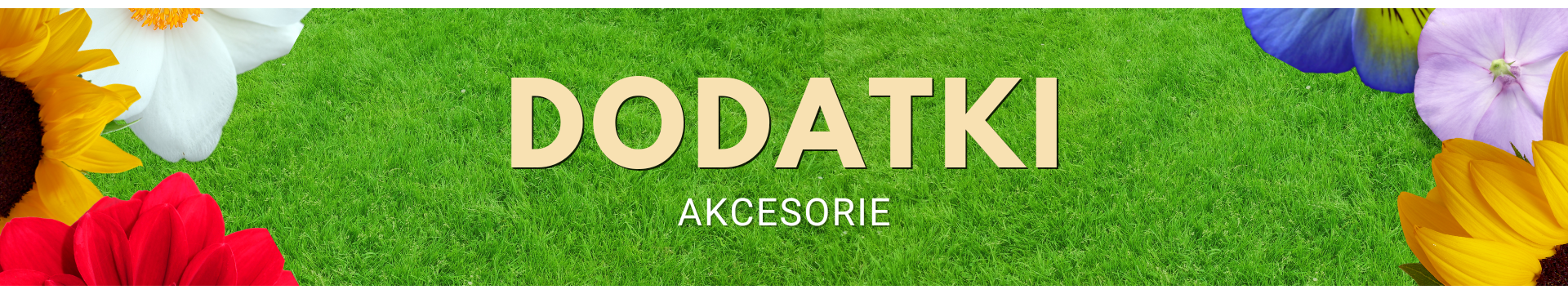 AKCESORIA